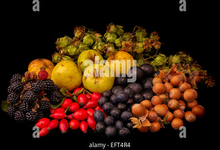 Les fruits et les noix provenant d'une haie à l'automne Banque D'Images