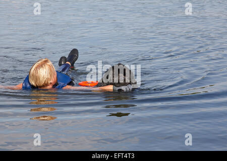 Formation de sauvetage faire Chien Terre-Neuve Banque D'Images