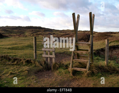 Stile de l'échelle et le chien porte, Braunton Burrows, Devon, UK Banque D'Images