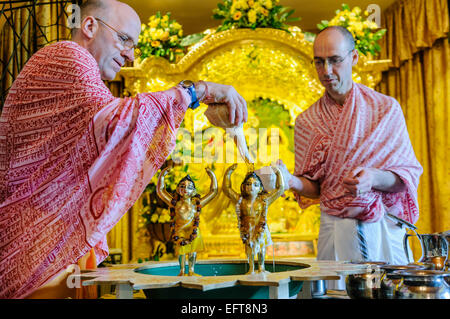 Les dévots Hare Krishna pour Caranamrita (le lait, le ghee et le miel) par rapport à l'or dieties lors de la cérémonie de Gaura Purnima Banque D'Images