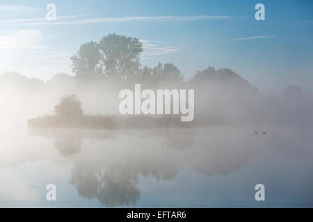 Un matin calme à la rivière avec piscine par les oies. Matin brouillard plane sur le paysage avec un ciel bleu clair Banque D'Images
