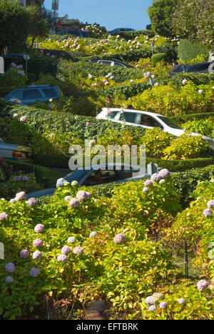 Le trafic automobile floue de Lombard Street Quartier de RUSSIAN HILL SAN FRANCISCO CALIFORNIA USA Banque D'Images