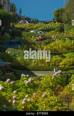 Le trafic automobile floue de Lombard Street Quartier de RUSSIAN HILL SAN FRANCISCO CALIFORNIA USA Banque D'Images