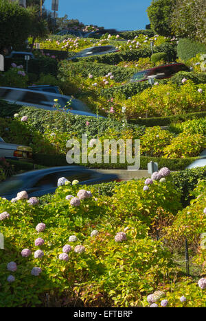 Le trafic automobile floue de Lombard Street Quartier de RUSSIAN HILL SAN FRANCISCO CALIFORNIA USA Banque D'Images