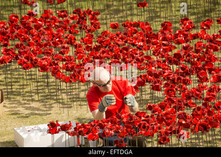 Vue générale d'une installation par le céramiste Paul Cummins intitulé Blood a balayé les terres et les mers de Red'. L'installation, qui est sur voir dans à la Tour de Londres du 5 août - 11 novembre, dispose de coquelicots en céramique représentant la vie de Banque D'Images