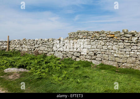 Mur en pierre sèche sur Lundy Island Banque D'Images