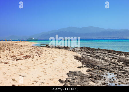 Les récifs coralliens de la Mer Rouge un Banque D'Images