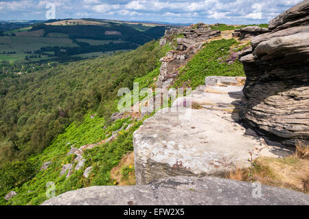 Peak District coloré paysage de bruyère et de graminées sur les bord Curbar sous le soleil d'été. Banque D'Images