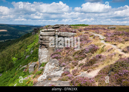 Peak District coloré paysage de bruyère et de graminées sur les bord Curbar sous le soleil d'été. Banque D'Images