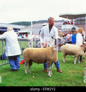 Agriculteur montrant Blue face Leicester ram à la Royal Welsh Show à Builth Wells, Powys, Wales UK KATHY DEWITT Banque D'Images