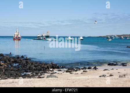 San Cristobel Bay Îles Galápagos Banque D'Images