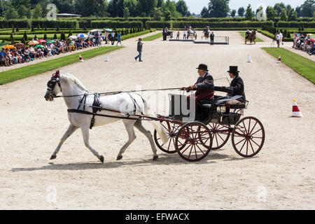 La concurrence pour les voitures traditionnelles Iternational 'La Venaria Reale', transport : Americane , cheval : seul l'espagnol,Italie Banque D'Images