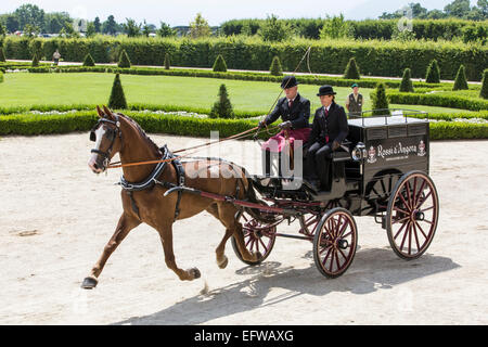 La concurrence pour les voitures traditionnelles Iternational 'La Venaria Reale', transport:Trading Van , cheval : seule l'Italie,KWPN Banque D'Images