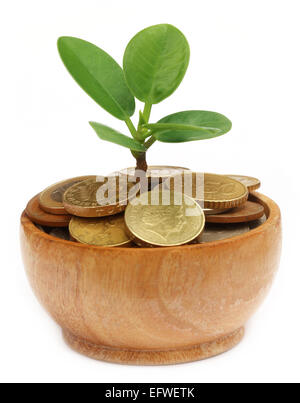 Plante pousse à partir de la pile de pièces sur fond blanc Banque D'Images