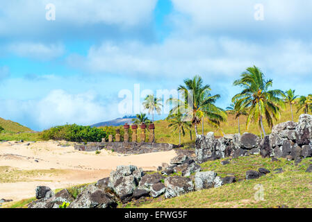 Moai statues at Anakena Beach sur l'île de Pâques, Chili Banque D'Images