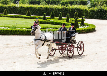 La concurrence pour les voitures traditionnelles Iternational 'La Venaria Reale', transport : Americane , cheval : seul l'espagnol,Italie Banque D'Images