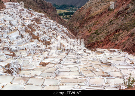 Piscines extérieures pour la production de sel près de la ville de Maras dans la Vallée Sacrée près de Cusco, Pérou Banque D'Images