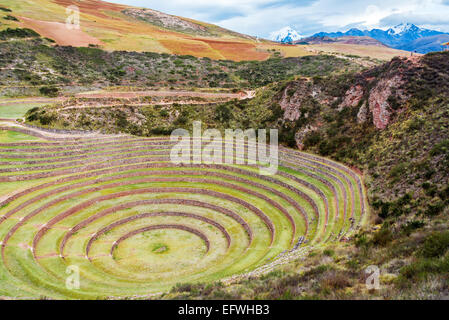 Les ruines Inca de Moray circulaire dans la Vallée Sacrée près de Cusco, Pérou Banque D'Images