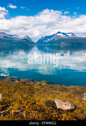 Journée ensoleillée en Lyngen. Banque D'Images