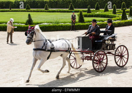 La concurrence pour les voitures traditionnelles Iternational 'La Venaria Reale', transport : Americane , cheval : seul l'espagnol,Italie Banque D'Images