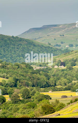 Regardant vers le bas au-dessus de Swaledale Muker au début de l'été. Le Yorkshire, UK. Banque D'Images