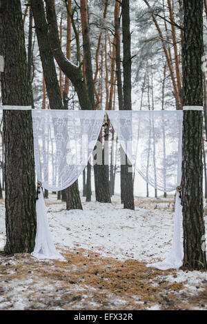 Arche de mariage entre les arbres en forêt d'hiver couverte de neige Banque D'Images