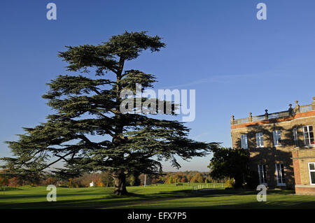 Cyprès et le club-house et vue sur le parcours de golf de l'automne le Club de Golf de Chislehurst Kent Chislehurst Angleterre Banque D'Images