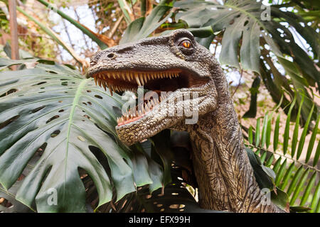 Portrait de figures de dinosaures dans un parc boisé Banque D'Images