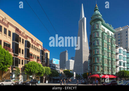 TRANSAMERICA PYRAMID TOWER (©WILLIAM PEREIRA 1972) SENTINEL BUILDING (©SALFIELD & KOHLBERG 1907) COLUMBUS AVENUE SAN FRANCISCO CALIFORNIA USA Banque D'Images