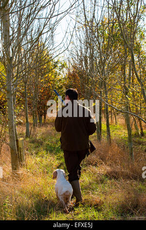 Homme avec fusil de chasse en bois avec clumber spaniel chien, Oxfordshire, Angleterre Banque D'Images