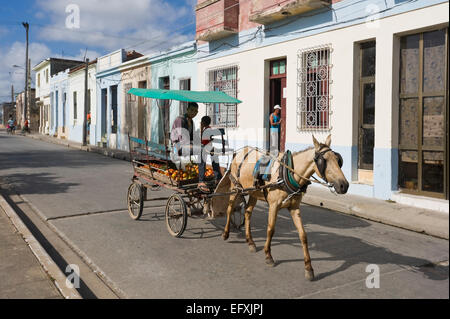 Street view horizontale d'un cheval et panier à Camaguey, Cuba. Banque D'Images