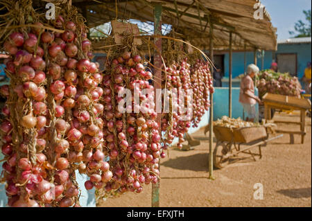 Vue horizontale de la principale marché de fruits et légumes à Camaguey, Cuba. Banque D'Images