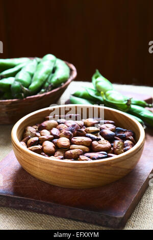 Fèves grillées (lat. Vicia faba) consommés comme collation dans la Bolivie dans bol en bois avec des gousses de fèves à l'arrière Banque D'Images