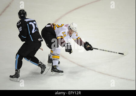 Rosemont, IL, USA. Feb 11, 2015. L'Admirals de Milwaukee' Taylor Aronson (23) cesse de Chicago Wolves" Pat Cannone (12) rompre au cours de la Ligue américaine de Hockey match entre les Chicago Wolves et les Milwaukee Admirals à l'Allstate Arena à Rosemont, IL. Patrick Gorski/CSM/Alamy Live News Banque D'Images