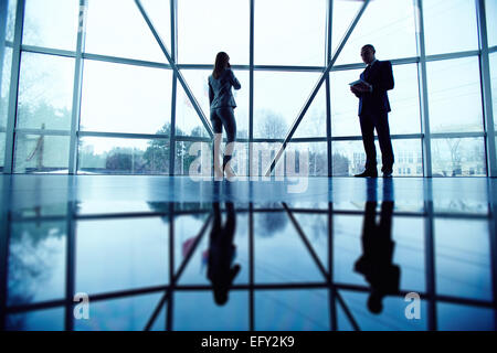 Deux collègues working in office Banque D'Images