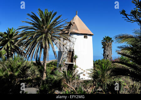 Le Musée de l'agriculture (Museo Agricola El Patio) remonte à 1840 et est la plus ancienne et la plus grande ferme à Lanzarote Banque D'Images