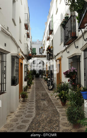 Cour intérieure pendant le Festival des patios (el Festival de Los Patios Cordobeses), Cordoue, Espagne Banque D'Images