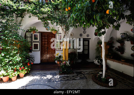 Cour intérieure pendant le Festival des patios (el Festival de Los Patios Cordobeses), Cordoue, Espagne Banque D'Images