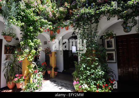Cour intérieure pendant le Festival des patios (el Festival de Los Patios Cordobeses), Cordoue, Espagne Banque D'Images