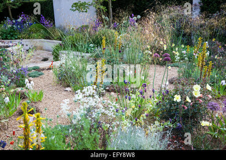 Jardin de gravier avec des herbes, Allium, Asphodeline et autres plantes résistantes à la sécheresse Banque D'Images