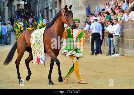 Cheval Cheval et chef de la Contrada de la forêt, Via della Selva, à la parade avant la course de chevaux Palio historique Banque D'Images