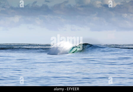 Blue Wave surf dans les Moluques, Indonésie Banque D'Images