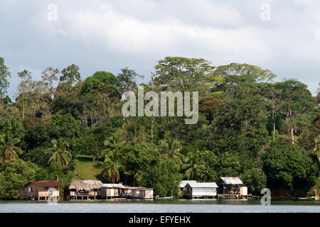 Bateau à coup paisible donnant sur la Baie des Dauphins à Bocas del Toro, PANAMA. Forêt tropicale à Bocas del Toro, PANAMA. Dolphin Banque D'Images