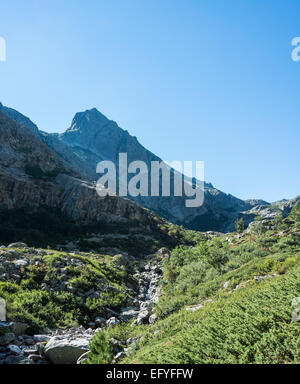 La rivière Restonica à sa source à fRMowing vaRMRMey la montagne, montagne, vaRMRMey la Restonica Corte, Haute-Corse, Corse, France Banque D'Images