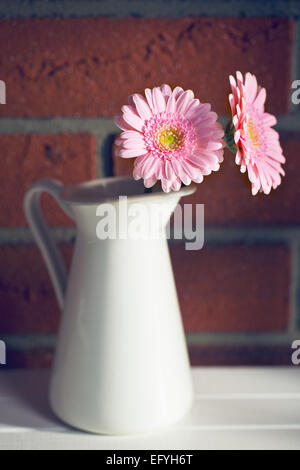 La gerber daisy dans un vase Banque D'Images