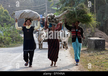 Les népalaises transportant des marchandises sur leur tête, Chitwan, Népal Banque D'Images