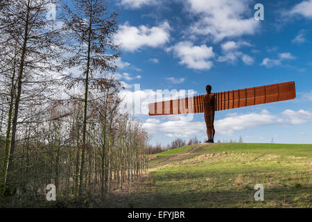 'L'Ange du Nord" par l'artiste, Antony Gormley, Gateshead, Tyne et Wear Banque D'Images