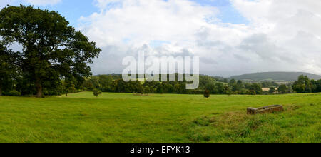 Paysage avec des champs d'herbe de campagne du Dorset vallonné Banque D'Images