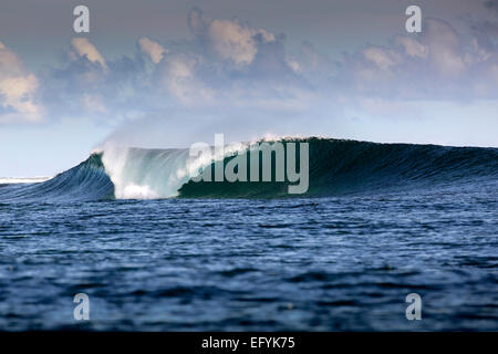 Blue Wave surf dans les Moluques, Indonésie Banque D'Images