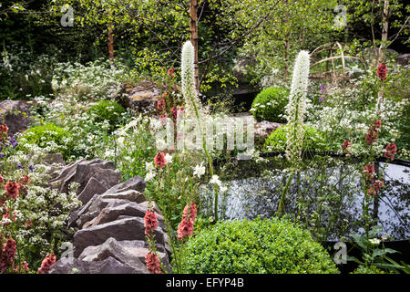 Murs de pierre en serpentin, bassin d'eau noir, ballons et plantation naturaliste avec Eremurus robustus, Verbascum et Orlaya Banque D'Images